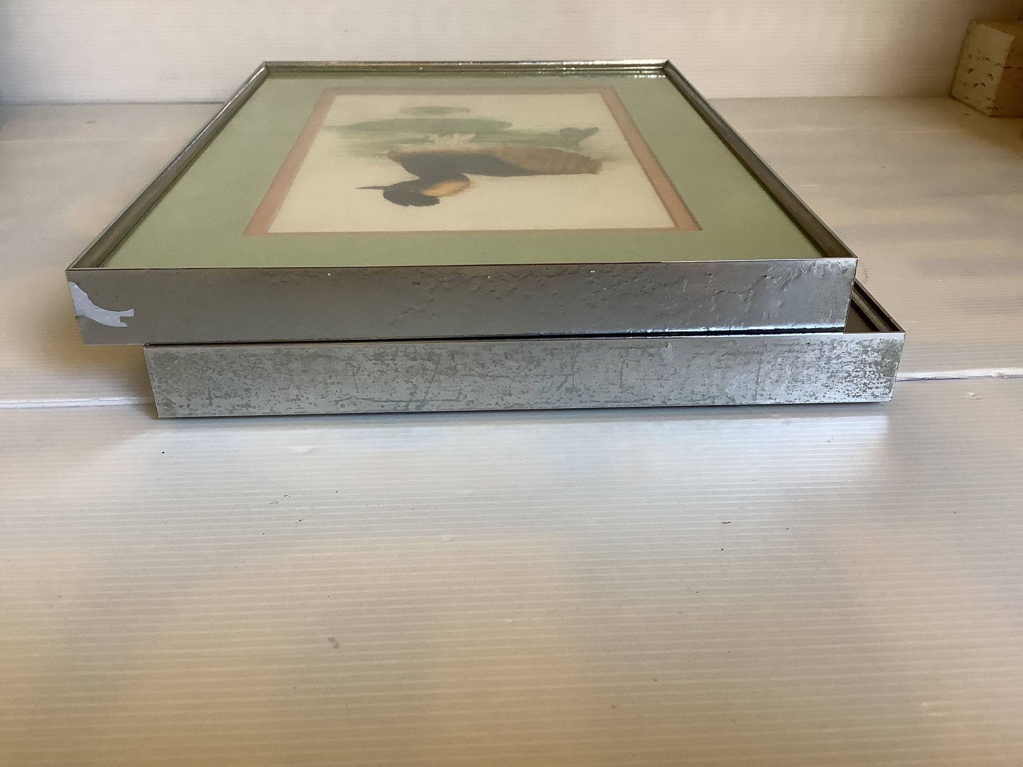 Pair of framed bird illustrations