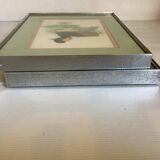 Pair of framed bird illustrations