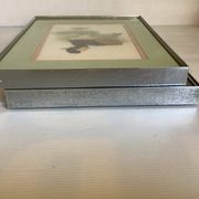 Pair of framed bird illustrations