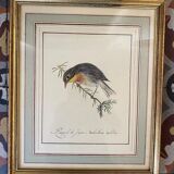 Lithographic frame Nightingale of Japan.