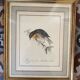 Lithographic frame Nightingale of Japan.