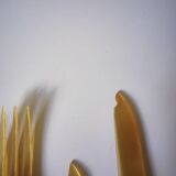 Fruit cutlery in blond and brown horn