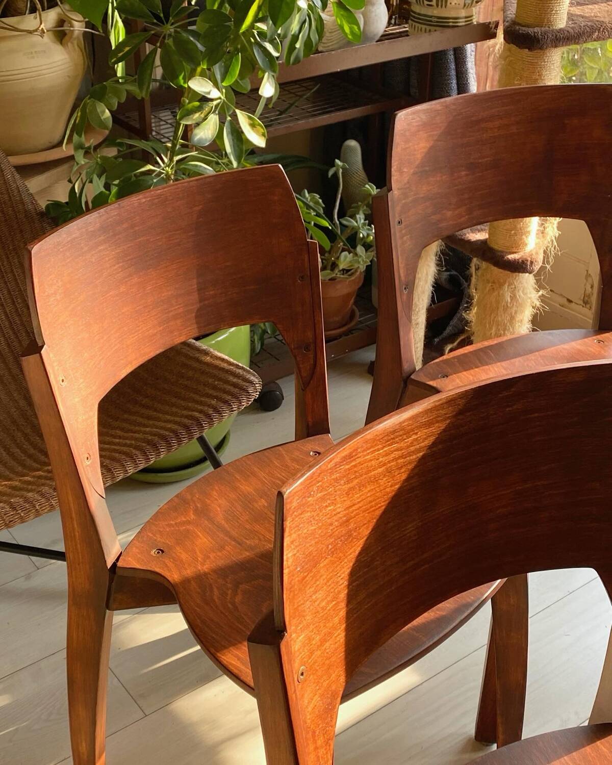 4 mahogany wooden chairs