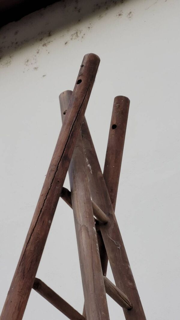 Echelle double de maraîcher récolte fruitière cueillette ancienne en bois -3m65