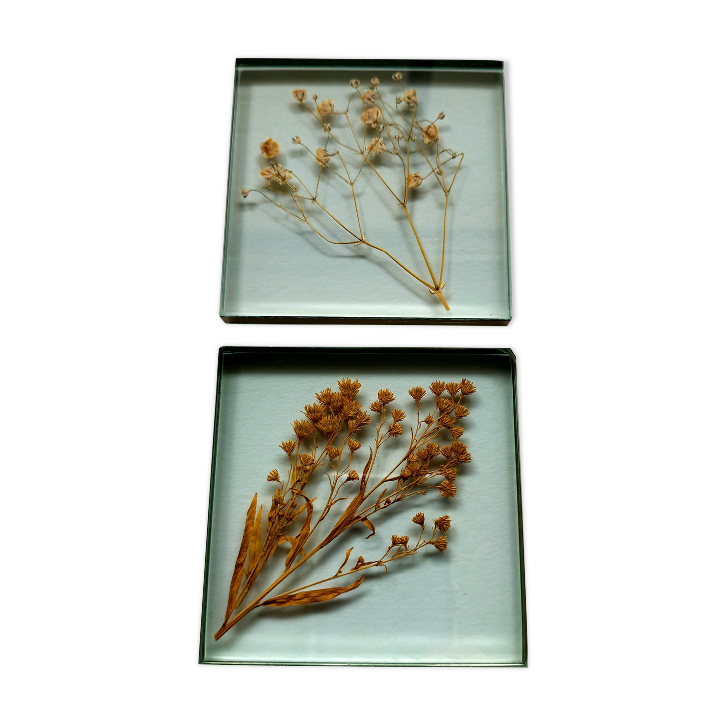 Lot of two glass frames