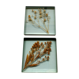 Lot of two glass frames