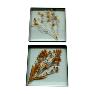 Lot of two glass frames