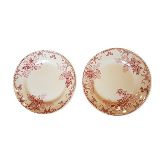Paire d'assiettes en faïence à décor de fleurs