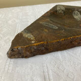 Vintage stone ashtray with orthoceras fossils