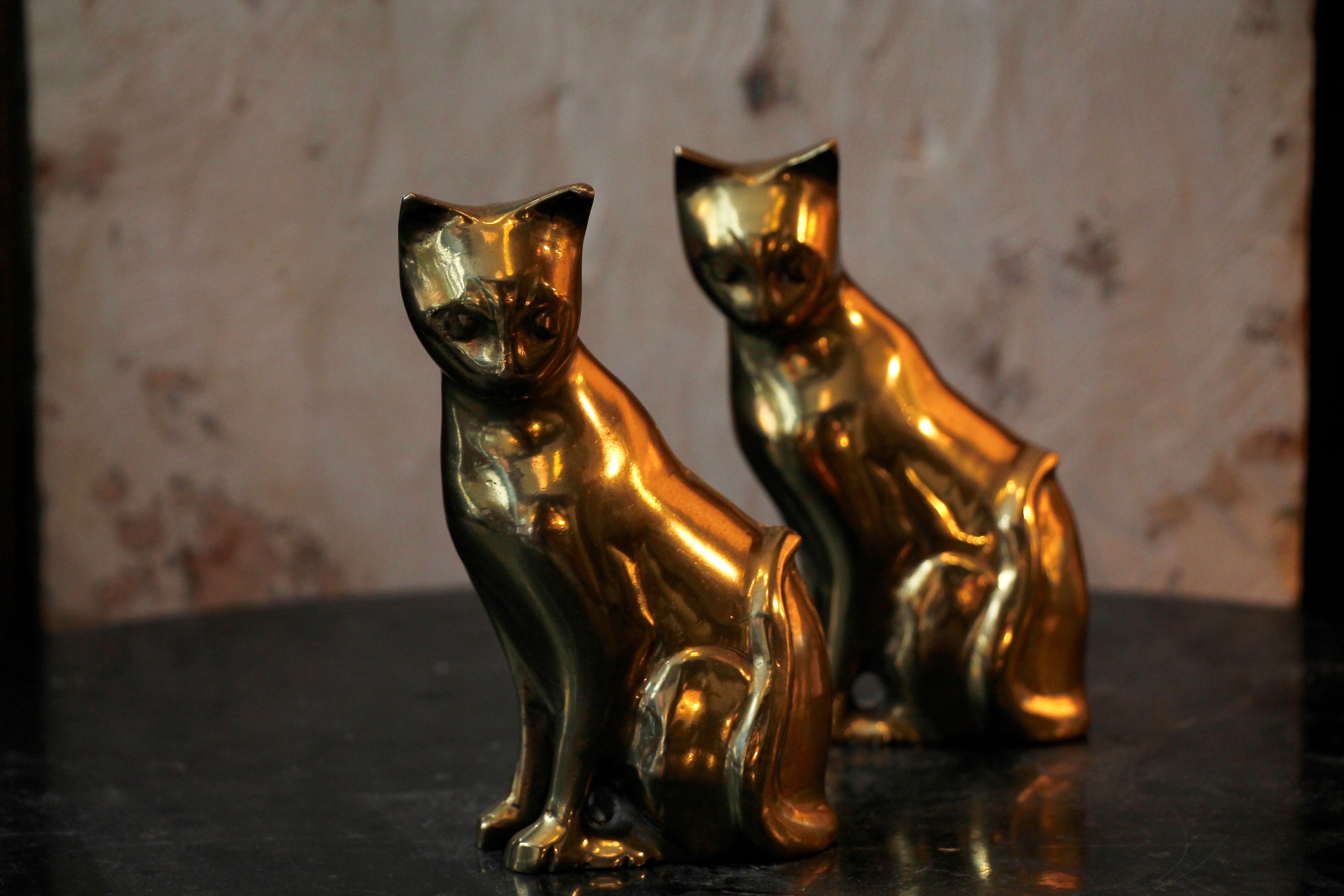 Brass cat