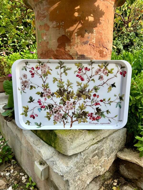 Plateau Villeroy and Boch Botanic
