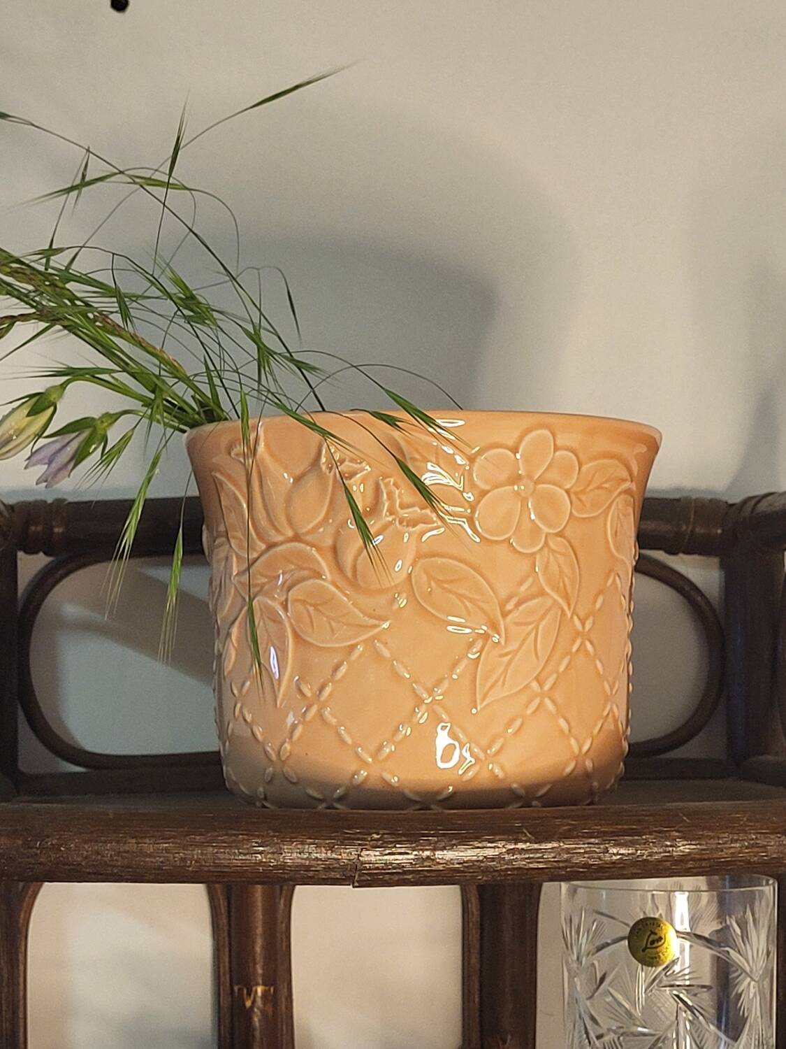 Apricot plant pot