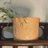 Cache pot abricot