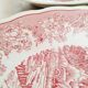 6 Assiettes creuses en porcelaine  anglaise Italienne : Swiss  Landscape