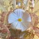 Barovier and Toso XXL Murano glass chandelier