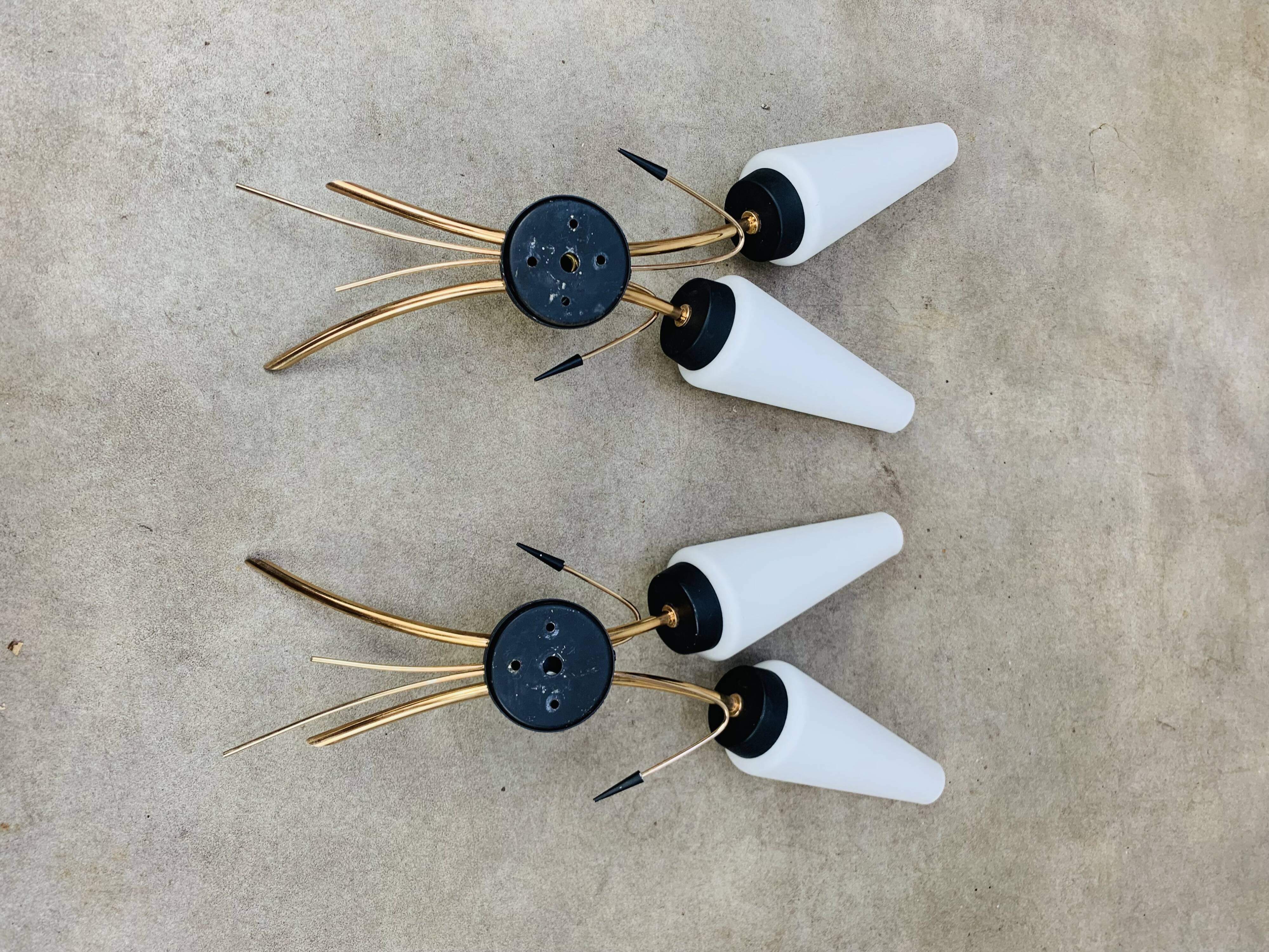 Pair of 1950s wall lights, opaline and brass tulips, Lunel Arlus