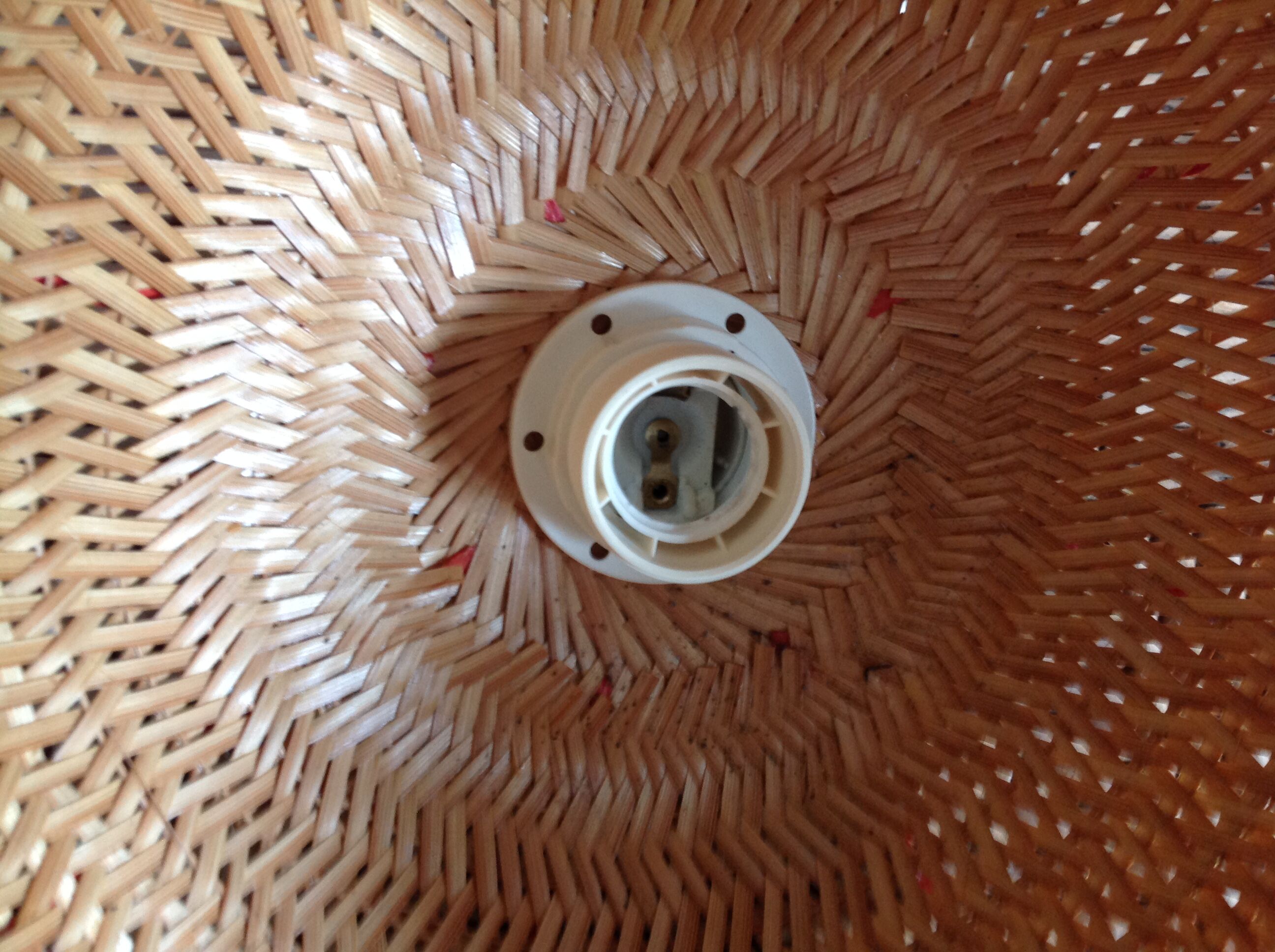 Flower rattan hanging