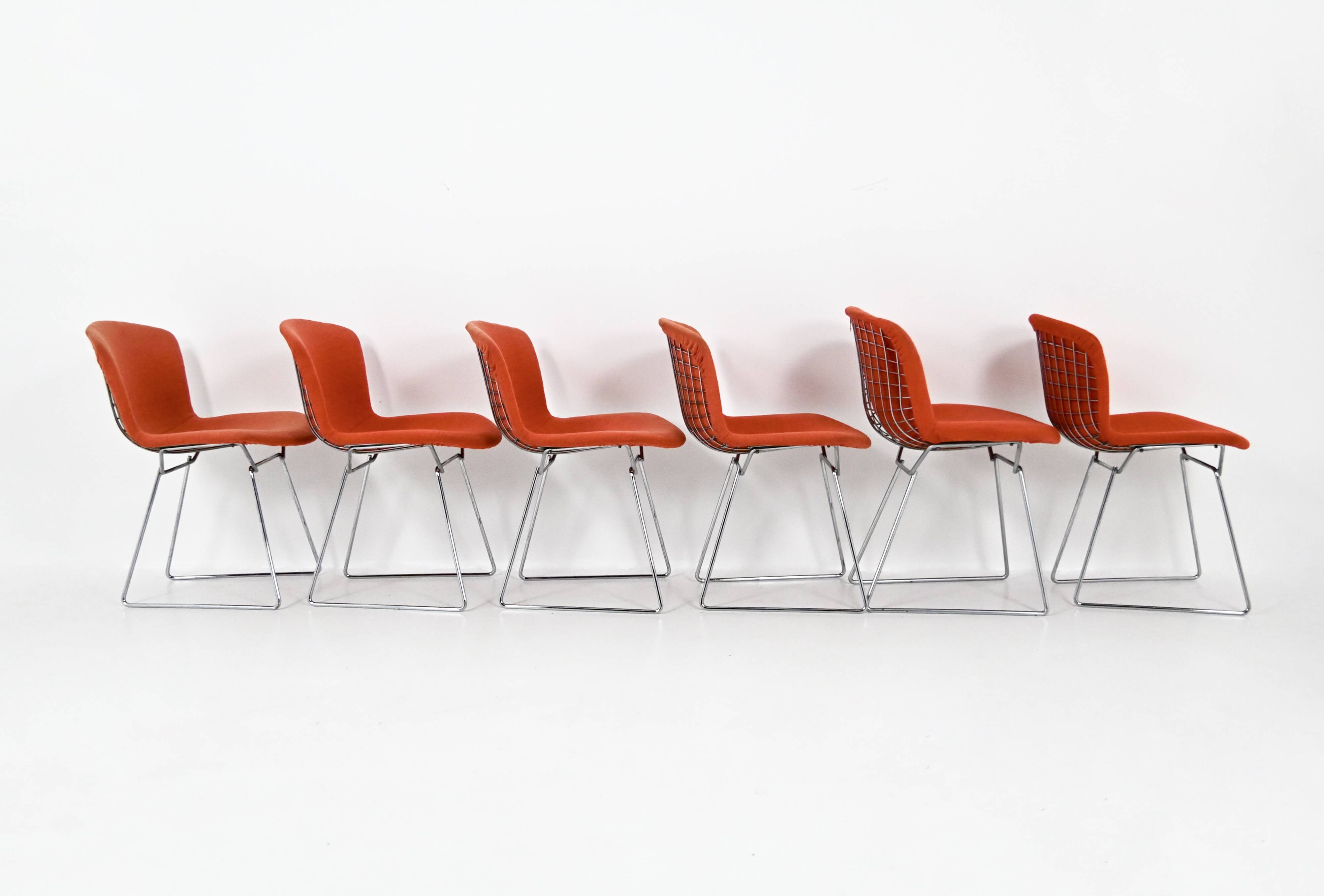 Set of 6 chairs by Harry Bertoia for Knoll, 1960s