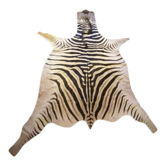 Real zebra skin