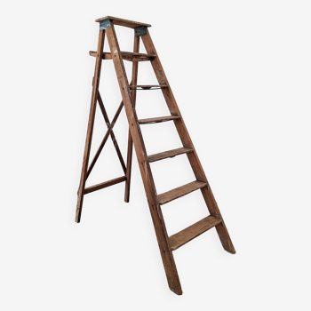 Montana painter's stepladder