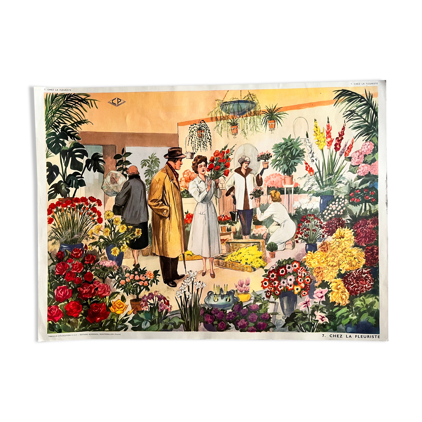 Double-sided school poster Florist/Christmas