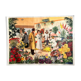 Double-sided school poster Florist/Christmas