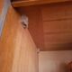 Vintage wardrobe