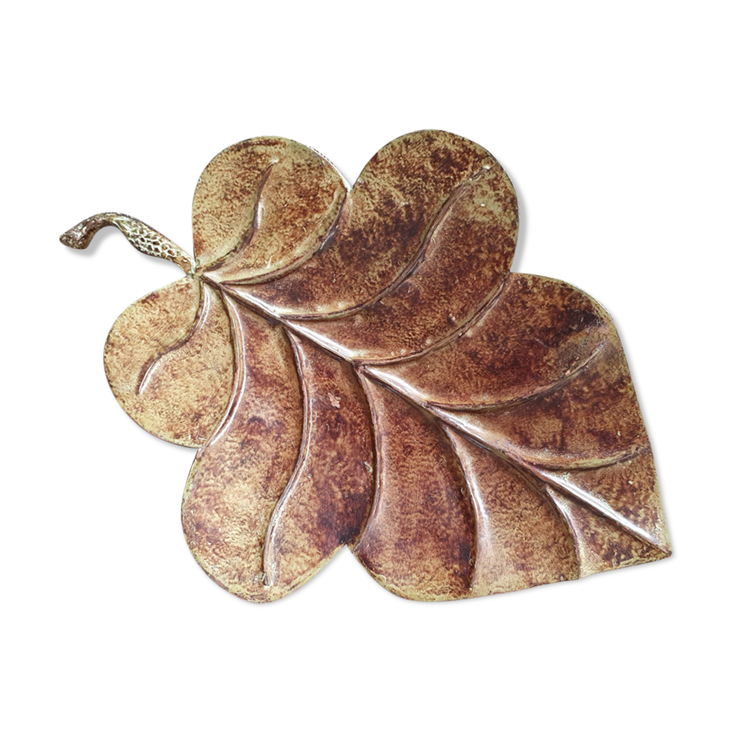 Empty Pocket Big Leaf