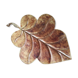Empty Pocket Big Leaf