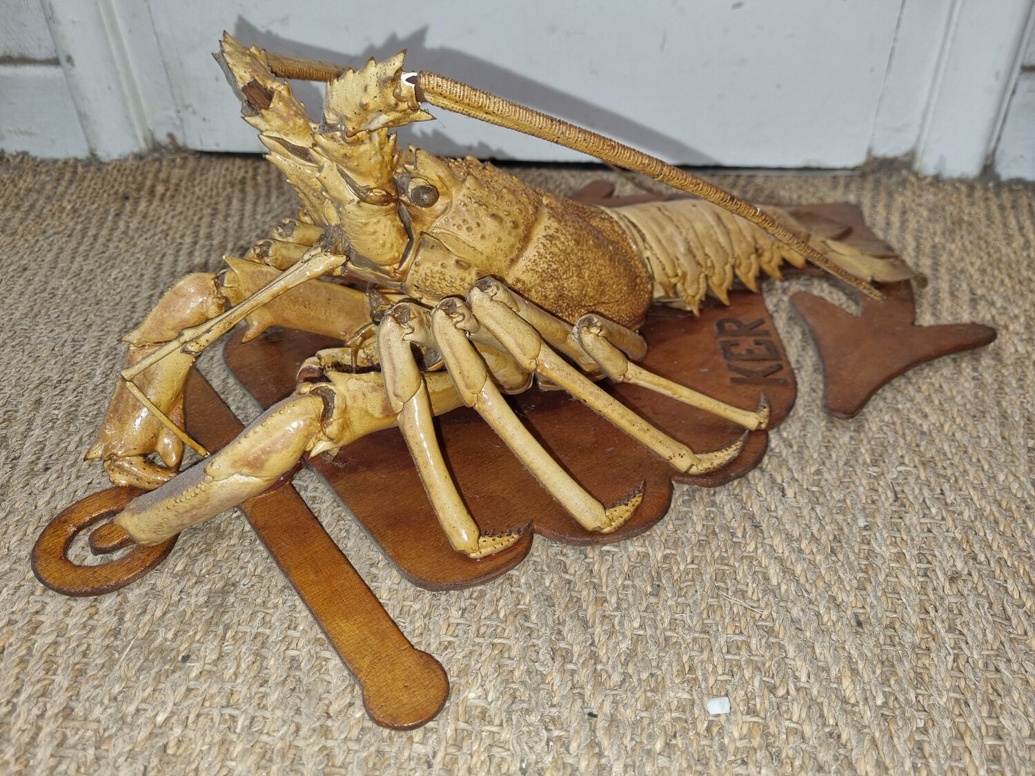 Naturalized lobster of the mid-twentieth century