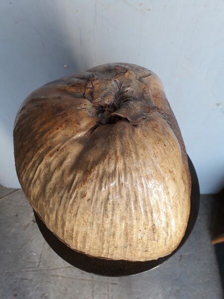 Seau à glaçon noix de coco vintage 1960