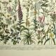 Old engraving 1928 - Medicinal plants by A. Millot. Botany