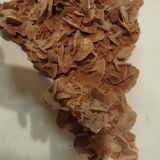 Rose des sables