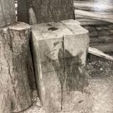 Artist's film photography