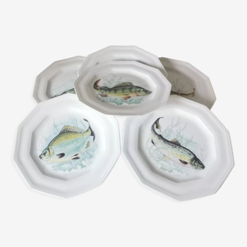Assiettes à poisson porcelaine