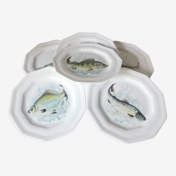 Porcelain fish plates