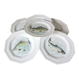 Porcelain fish plates