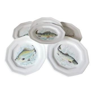 Assiettes à poisson porcelaine