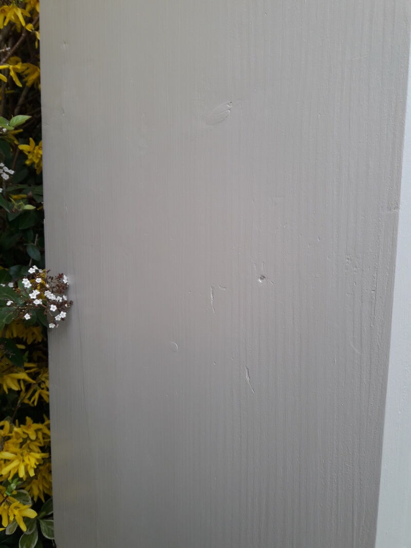 Wardrobe, early XX°, painted, wardrobe