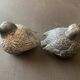 Sparrow salt and pepper duo