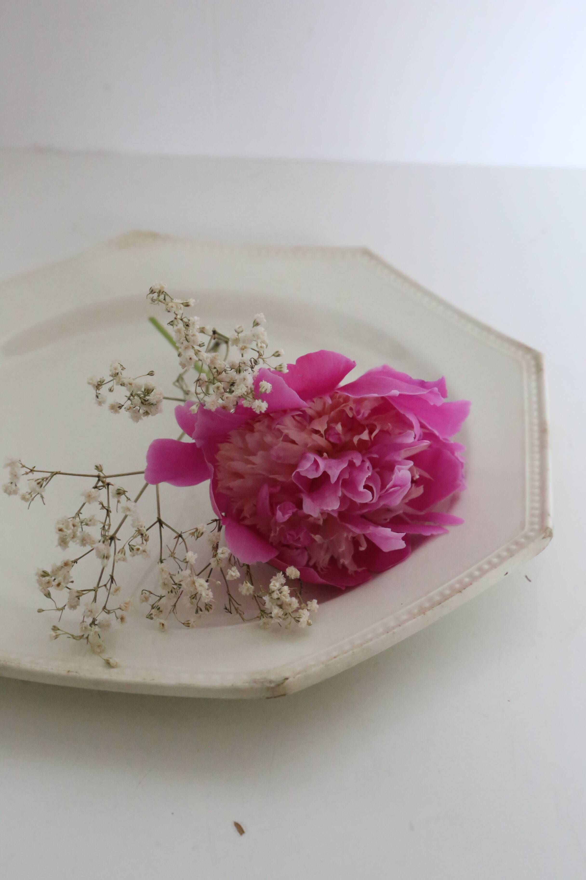 Creil and Montereau plates, 19th century, Perle model, ivory / lot 1