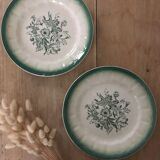 Pair of green floral plates