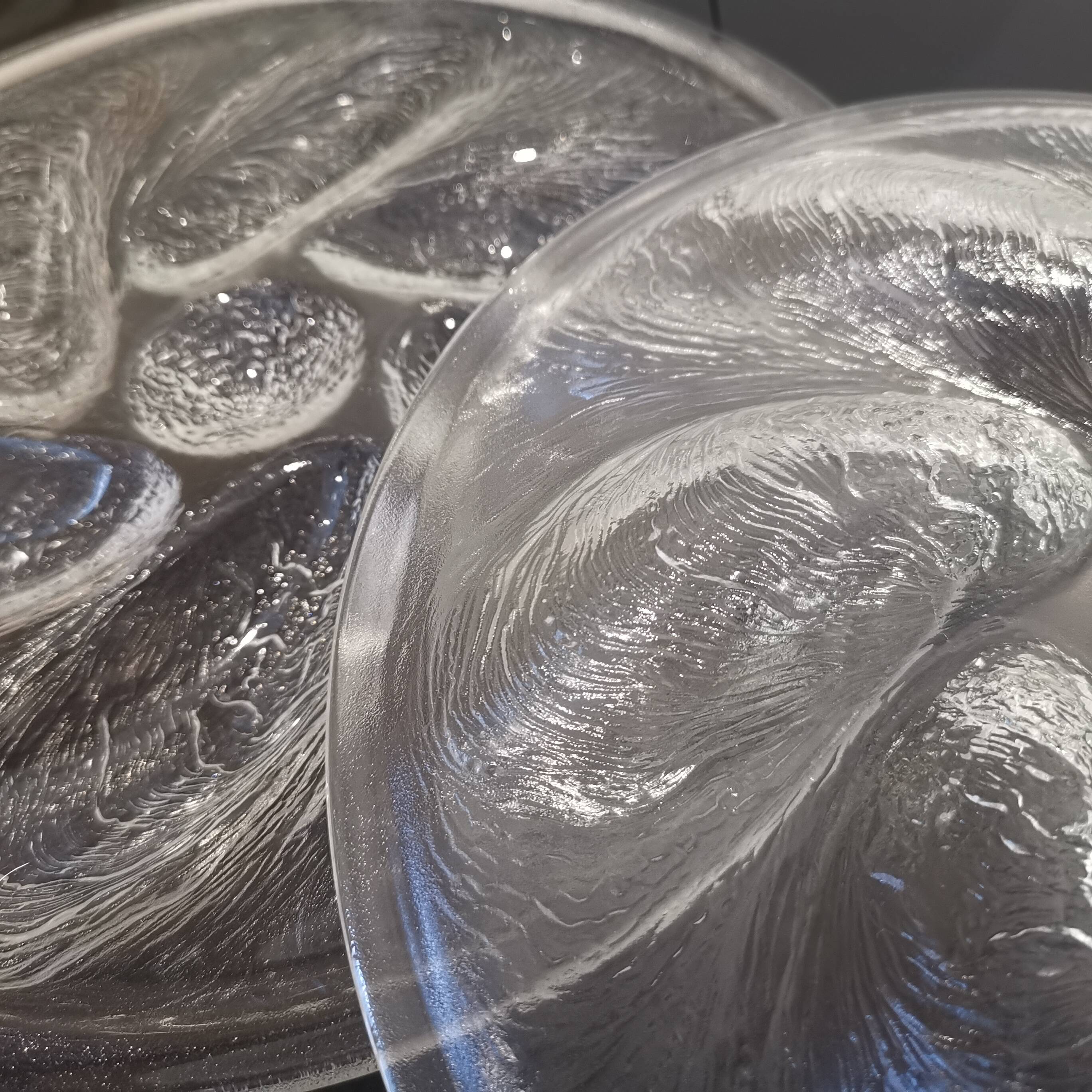 6 embossed glass oyster plates, 1970s Arcoroc France