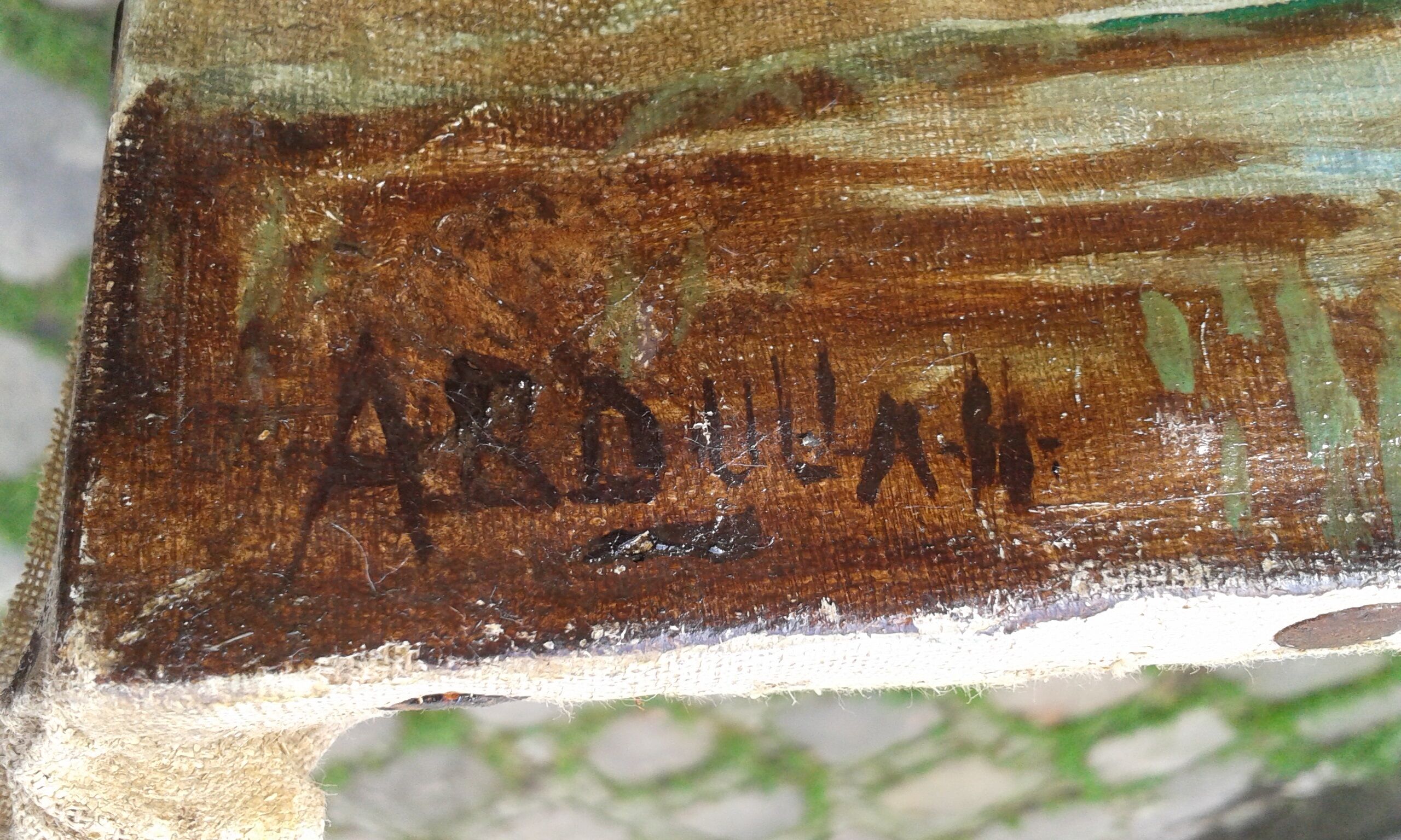 Rice paddy landscape Java Indonesia Abdullah Suriosubroto