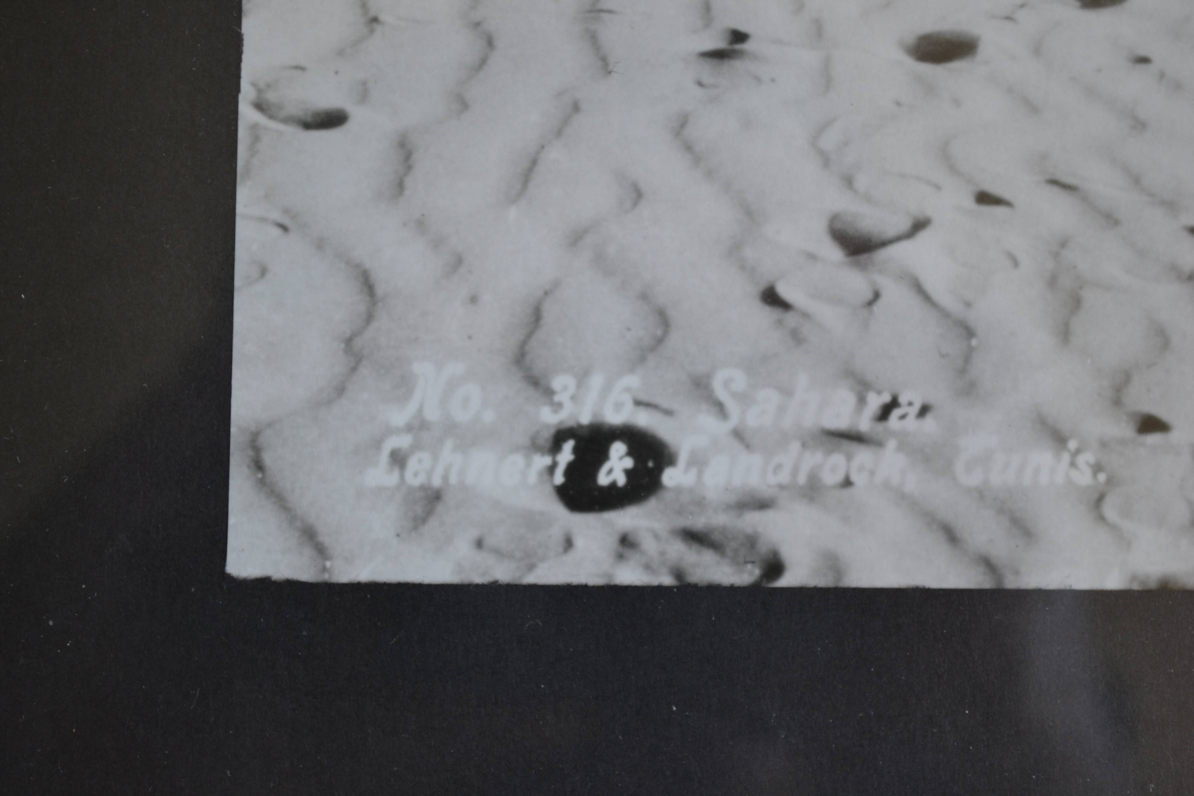 Lehnert & Landrock estate Cairo Silver print from an original negative