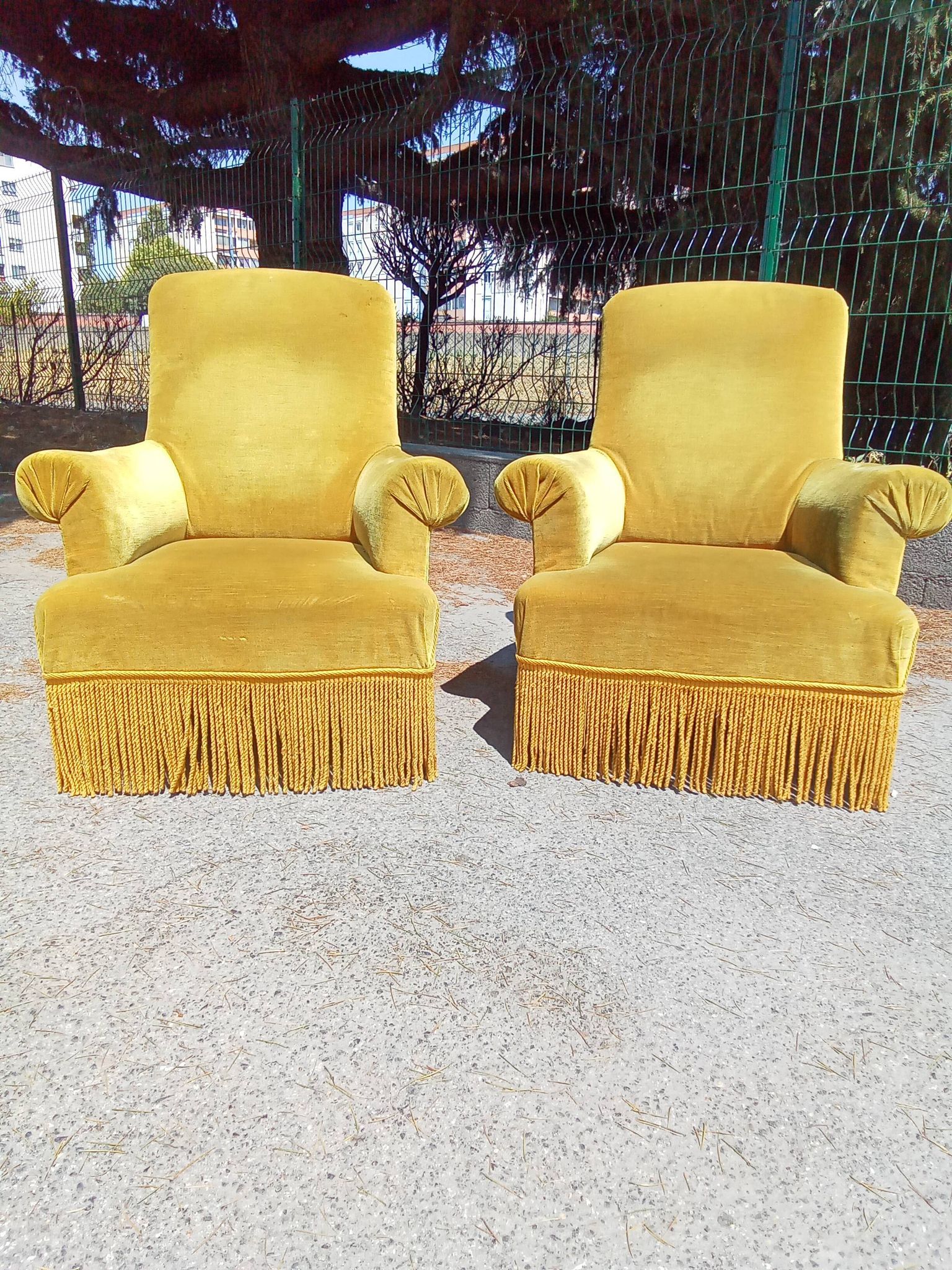 Pair of armchairs with golden velvet fringes