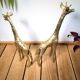Pair brass giraffes