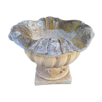 Old mold vase
