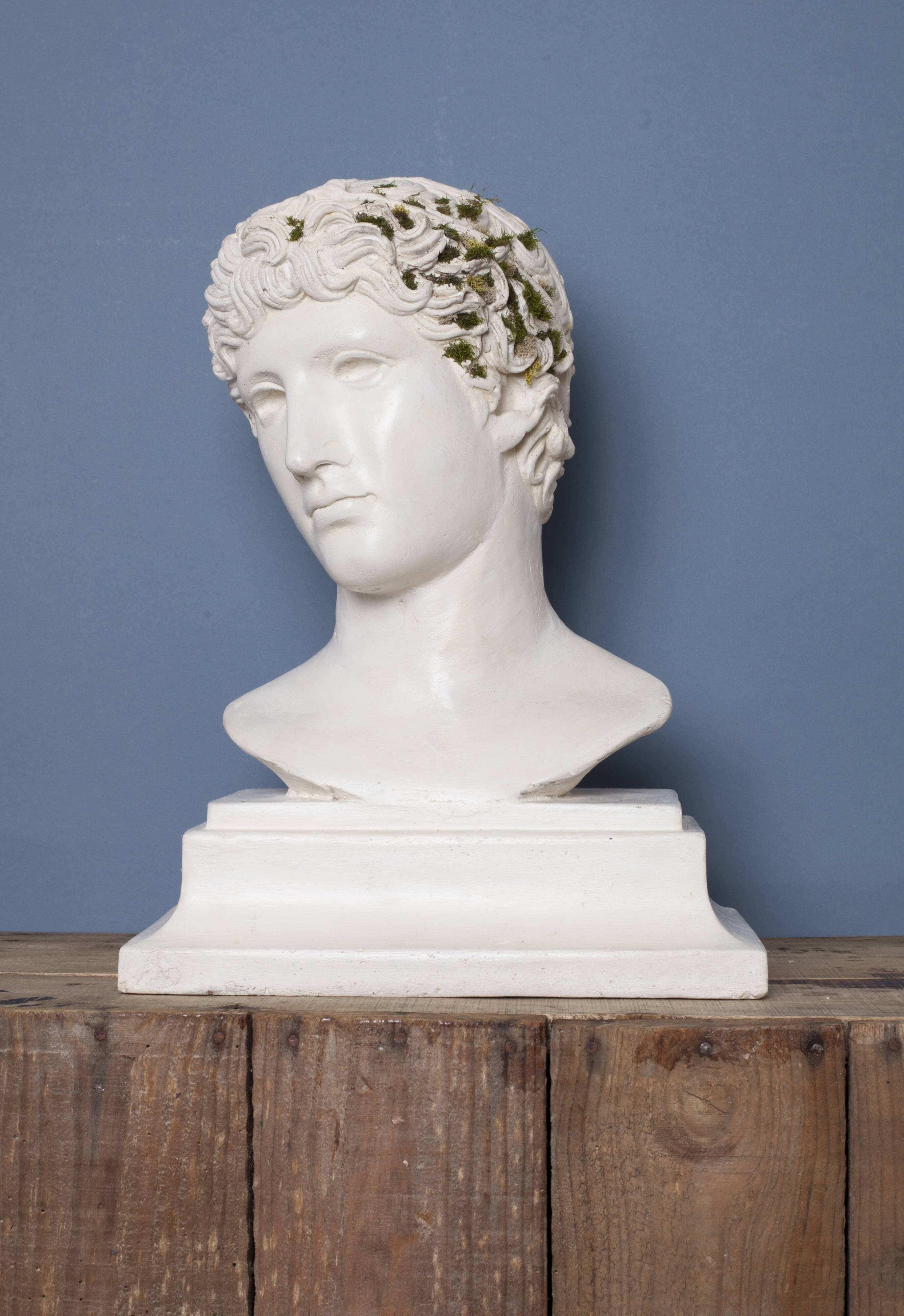 Roman head in waxed plaster