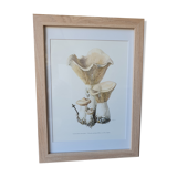 Cadre lithographie